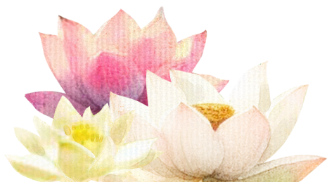 flower background image