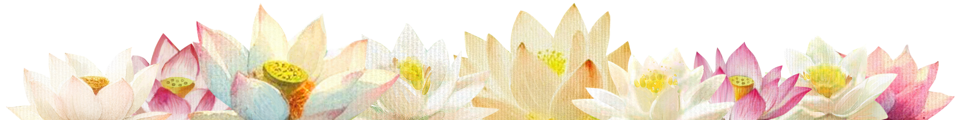 flower image